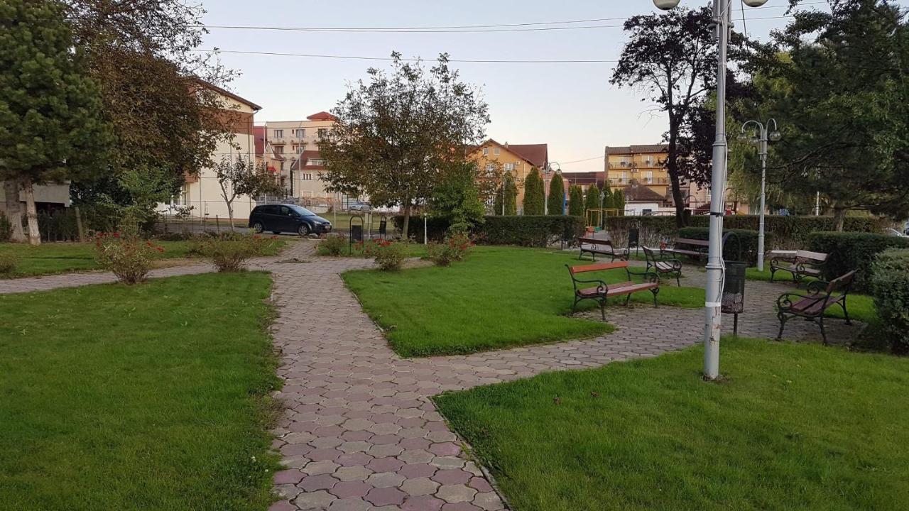 Apartament Ema Băile Felix Exterior foto