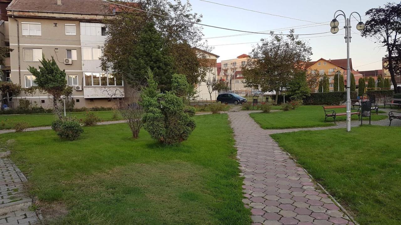 Apartament Ema Băile Felix Exterior foto